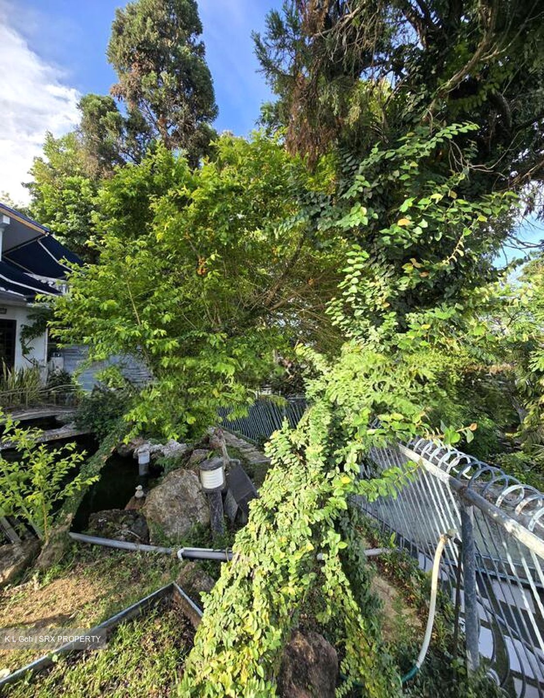 Siglap Road (D15), Detached #602237331